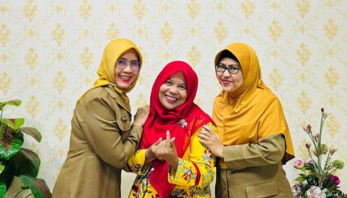 Dinas Kesehatan Cilegon Apresiasi Kader Posyandu Siti Rogayati Raih Penghargaan Kader Berprestasi